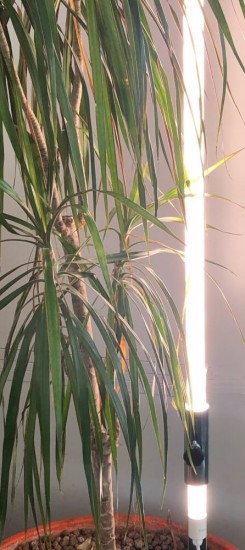 Bioledex Metall Erdspieß für vertikale Pflanzenbeleuchtung TIP65-System