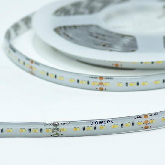 Bioledex LED Streifen 24V 90Ra 19,2W/m 252LED/m 3000-6500K IP65 5m Rolle tunable white