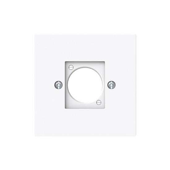 Busch-Jaeger Zentralscheibe XLR Busch-art linear 2CKA001724A4448 2553-44G