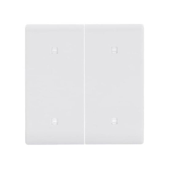 Busch-Jaeger 2570-20-84 Wippe 2-fach Elekroniktaster 2CKA001751A3269 2570-20-84