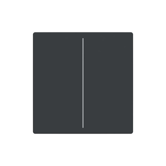 Busch-Jaeger Abdeckung, 2-fach für Keypad Format 63 - solo/future LFW/A.2.63.11-81 2CKA006199A0050 LFW/A.2.63.11-81
