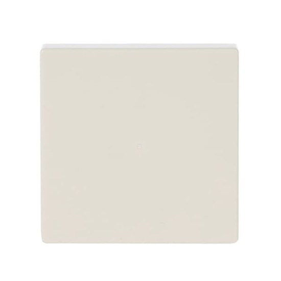 Busch-Jaeger Wippe 1-fach, ohne Bedruckung 2CKA006220A0396 6230-10-82