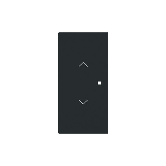 Busch-Jaeger Wippe 2-fach links/rechts, mit Symbol Jalousie Symbol Pfeile schwarz matt 2CKA006220A0967 6232-20-45M