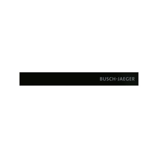 Busch-Jaeger Abschlussleiste unten mit Temperaturfühler und Schriftzug Busch-priOn 2CKA006310A0160 6352-825-101