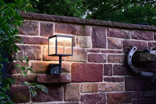 Deko-Light Wandaufbauleuchte Lacertae, Warmweiß, dunkelgrau, IP54 731112