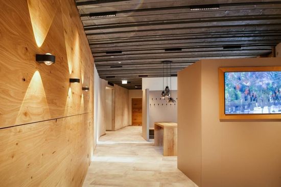 Eglo 67508 ALBAVILLA LED Deckenleuchte 2x10W 271x46mm Schwarz Neutralweiss Dimmbar