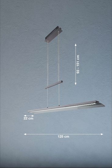 Fischer & Honsel Nana LED Pendelleuchte 29W Tunable white steuerbar dimmbar Glas rauchfarben teilsatiniert sandschwarz 60862