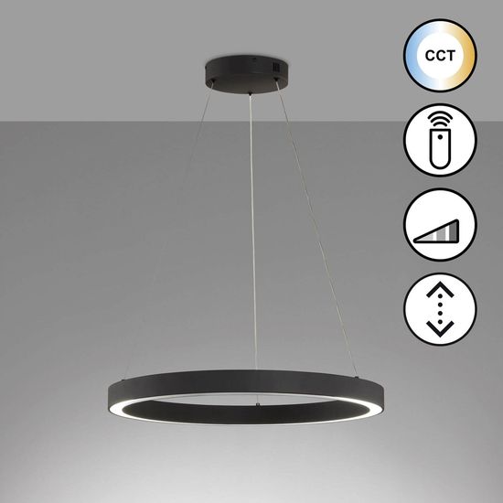 Fischer & Honsel Sirko LED Pendelleuchte 55,3W Tunable white steuerbar dimmbar Acrylglas sandschwarz 61049