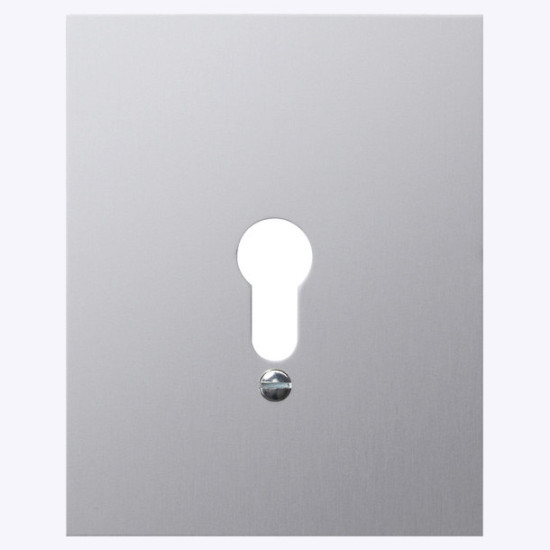 Gira 009830 MetallAbdeckung o.Symbole WG AP Aluminium
