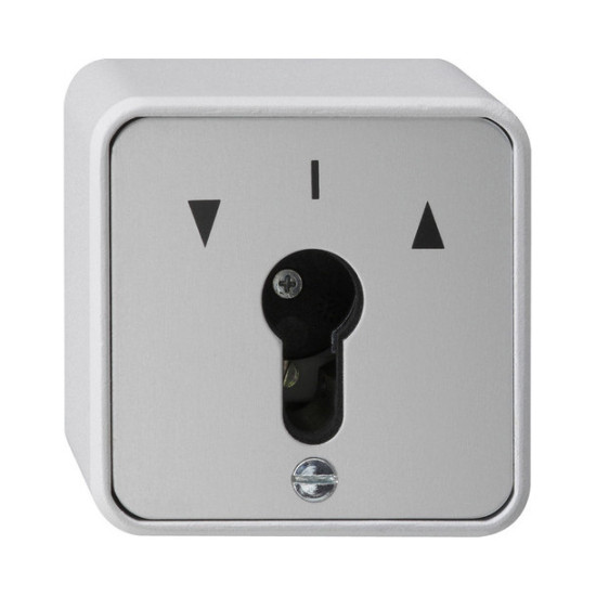 Gira 016330 Schlüsseltaster 1-polig WG AP Grau