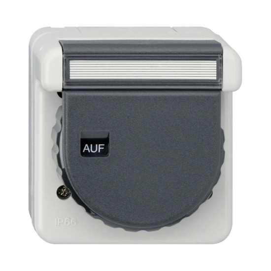 Gira 044031 SCHUKO-Steckdose KD Bajonett + Beschriftungsfeld WD AP Grau