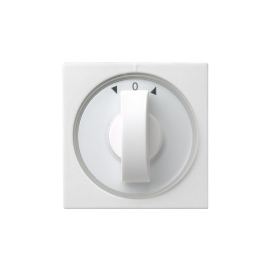 Gira 066603 Abdeckung Knebel Zeitschalter + Jalousie System 55 Reinweiß