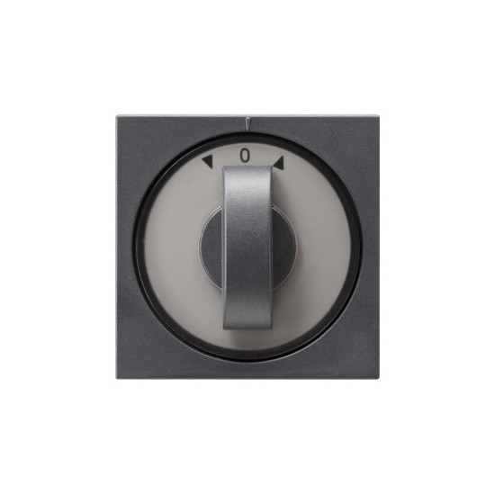 Gira 066628 Abdeckung Knebel Zeitschalter + Jalousie System 55 Anthrazit