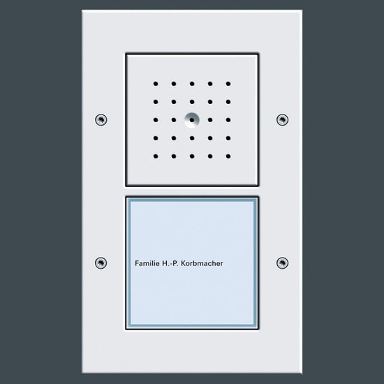 Gira 126666 Türstation AP 1-fach Türkommunikation Reinweiß