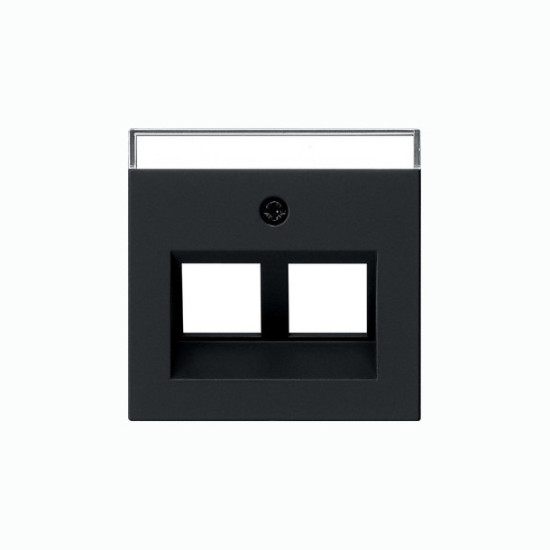 Gira 2640005 Abdeckung 30° + Beschriftungsfeld für Tragring Modular-Jack 2-fach System 55 Schwarz m