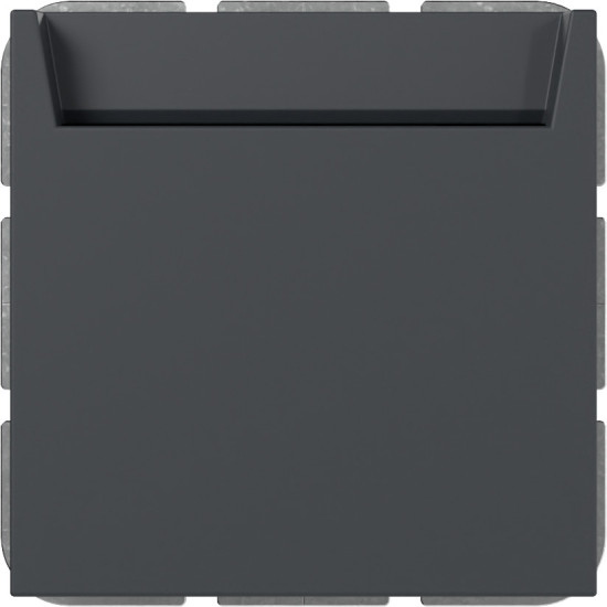 Gira 314028 Hotel-Card Schließer + N-Kl. System 55 Anthrazit