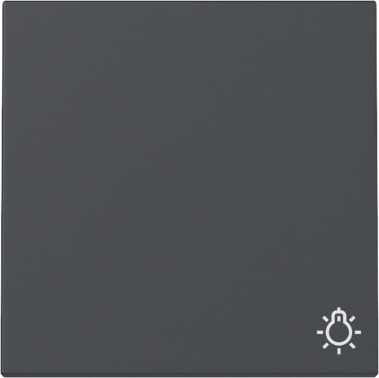 Gira 328528 Wippe Symbol Licht System 55 Anthrazit