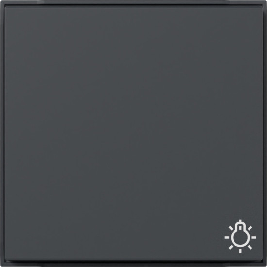 Gira 328567 Wippe Symbol Licht Gira TX_44 (WG UP) Anthrazit