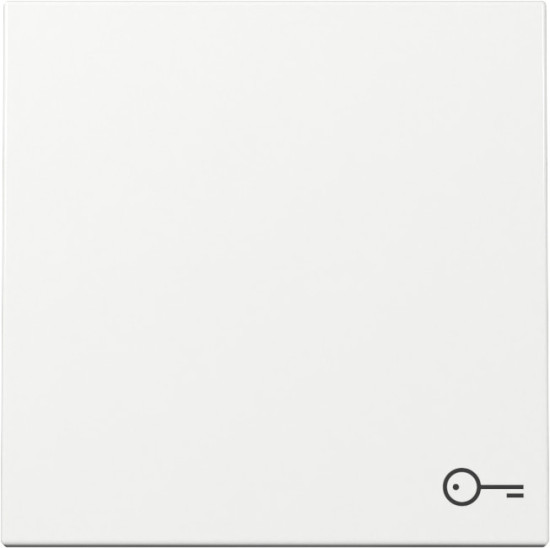 Gira 328703 Wippe Symbol Tür System 55 Reinweiß