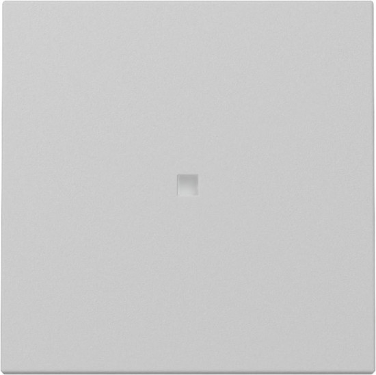 Gira 3290015 Wippe Kontrollfür System 55 Grau m