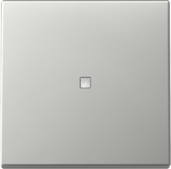Gira 3290600 Wippe Kontrollfür System 55 Edelstahl