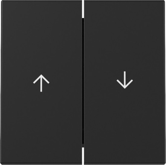 Gira 3294005 Wippe 2-fach Pfeil System 55 Schwarz m