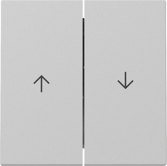 Gira 3294015 Wippe 2-fach Pfeil System 55 Grau m