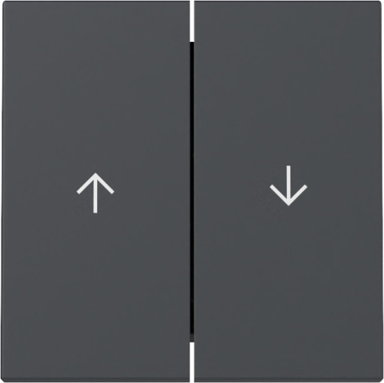 Gira 329428 Wippe 2-fach Pfeil System 55 Anthrazit