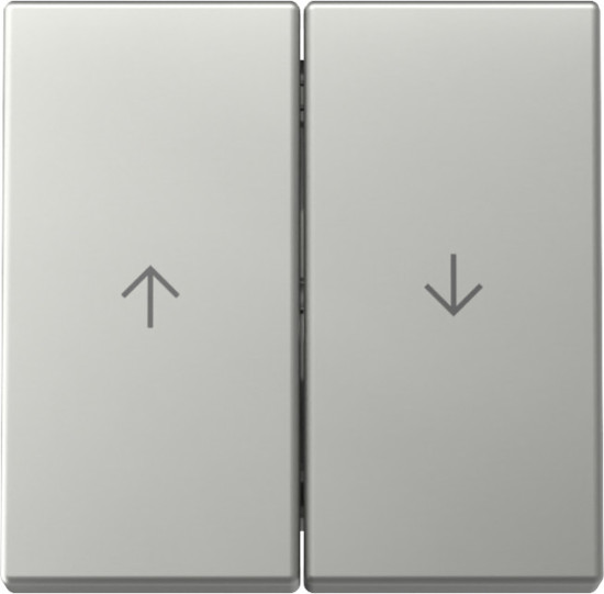 Gira 3294600 Wippe 2-fach Pfeil System 55 Edelstahl