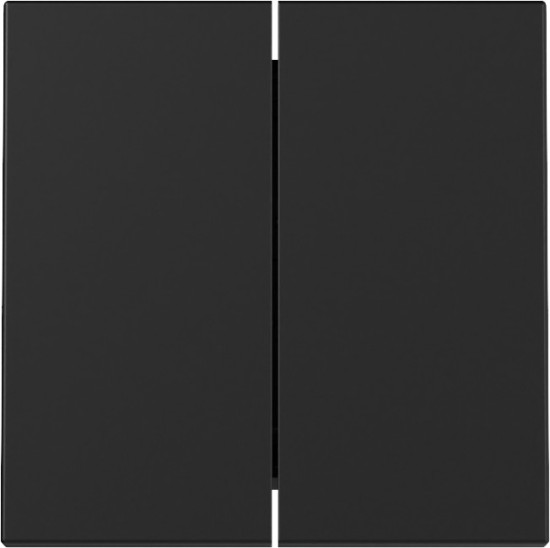 Gira 3295005 Wippe 2-fach System 55 Schwarz m