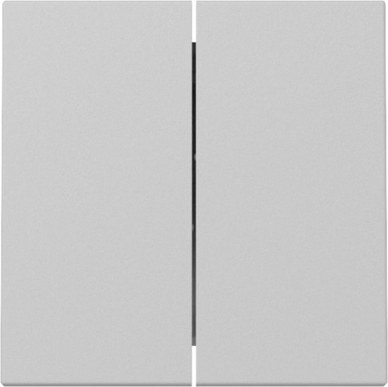 Gira 3295015 Wippe 2-fach System 55 Grau m