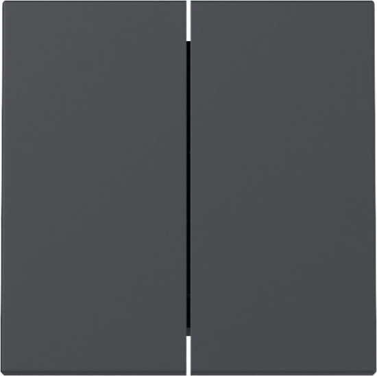 Gira 329528 Wippe 2-fach System 55 Anthrazit