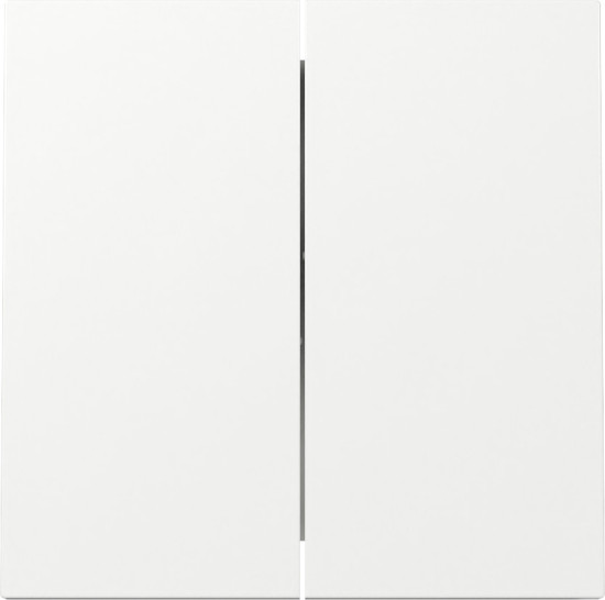 Gira 329570 Wippe 2-fach Flächenschalter Reinweiß