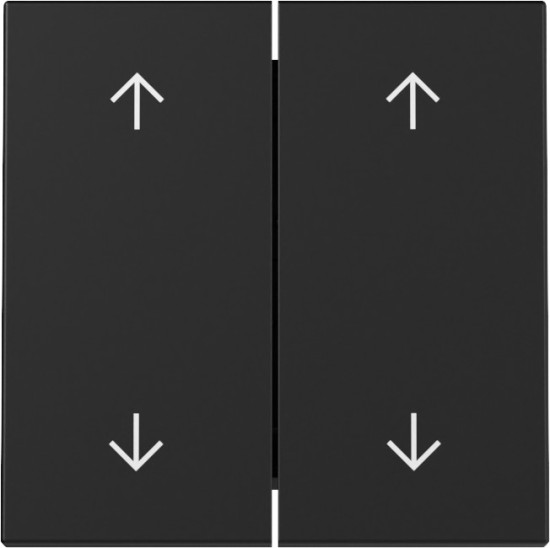 Gira 3297005 Wippe 2-fach Pfeile System 55 Schwarz m