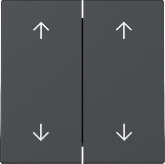 Gira 329728 Wippe 2-fach Pfeile System 55 Anthrazit