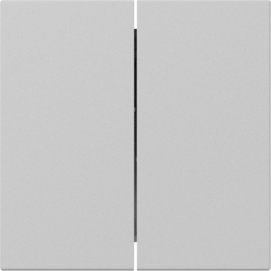 Gira 3495015 Wippe 2-fach gerade System 55 Grau m