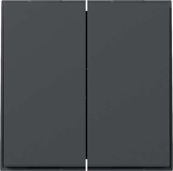 Gira 349567 Wippe 2-fach gerade Gira TX_44 Anthrazit