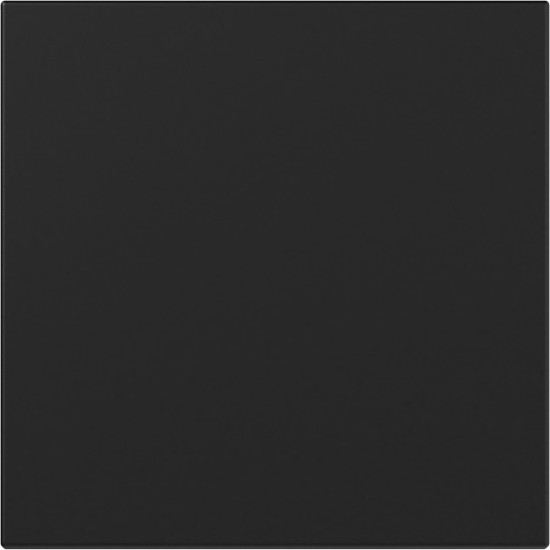 Gira 3496005 Wippe gerade System 55 Schwarz m