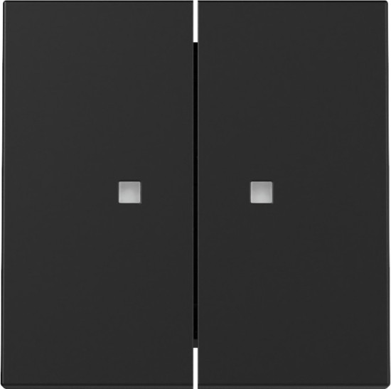 Gira 3631005 Wippe 2-fach Kontrollfür System 55 Schwarz m