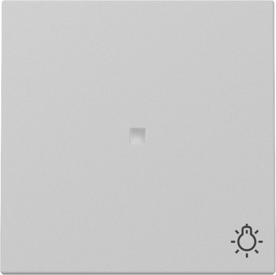 Gira 3674015 Wippe Kontrollfür + Symbol Licht System 55 Grau m