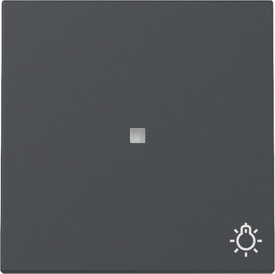 Gira 367428 Wippe Kontrollfür + Symbol Licht System 55 Anthrazit