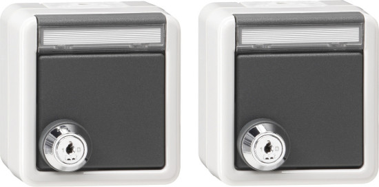 Gira 456030 Set 2x SCHUKO KD Schloss gleich + Beschriftungsfeld WG AP Grau