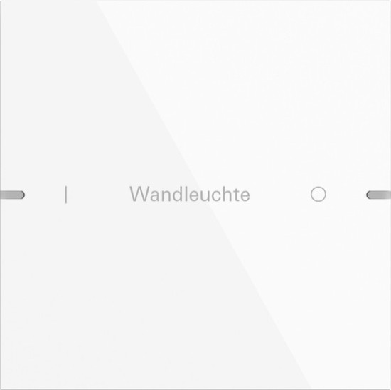 Gira 5031903 Wippenset 1-fach individuell Tastsensensor 4.95 Alum.Reinweiß(lack.)