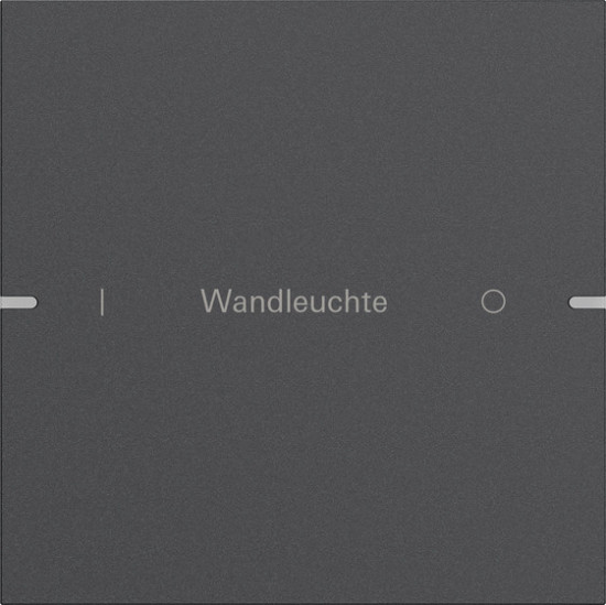 Gira 5031928 Wippenset 1-fach individuell Tastsensensor 4.95 Alum.Anthrazit(lack.)
