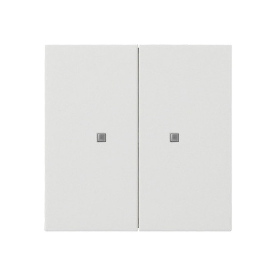 Gira 5173112 Taster Wippe 2-fach OneKNX Flächenschalter Reinweiß