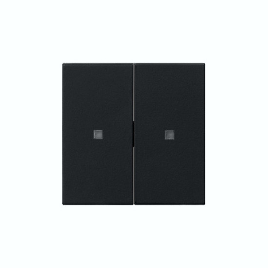 Gira 5369005 Wippe 2-fach unbedruckt Kontrollfür System 55 Schwarz m