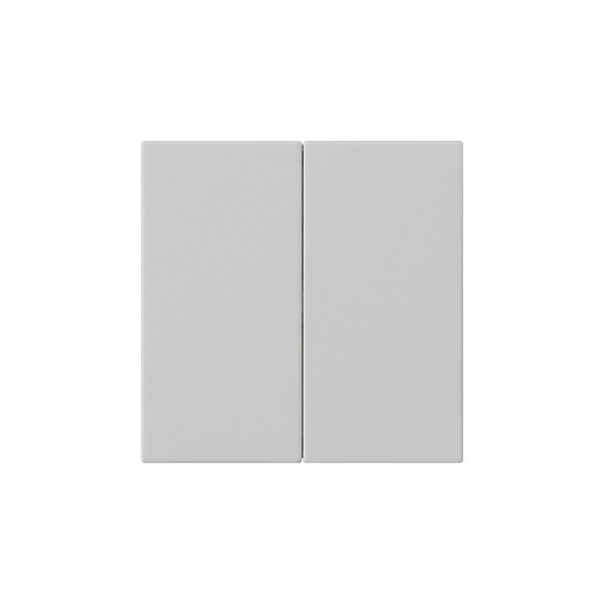 Gira 5370015 Wippe 2-fach unbedruckt System 55 Grau m