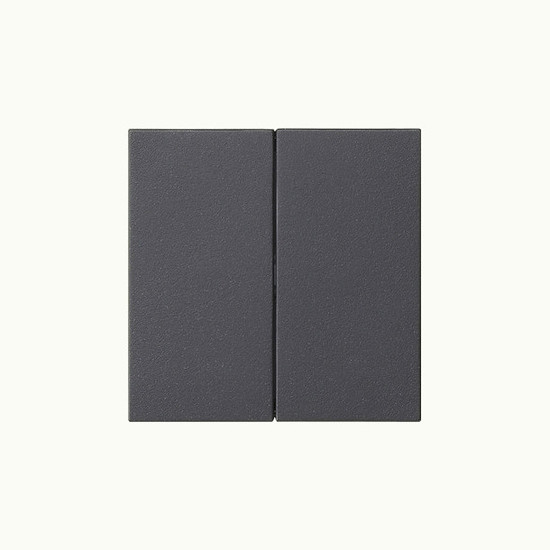 Gira 537028 Wippe 2-fach unbedruckt System 55 Anthrazit