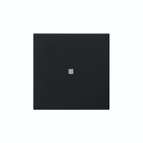 Gira 5371005 Wippe 1-fach unbedruckt Kontrollfür System 55 Schwarz m