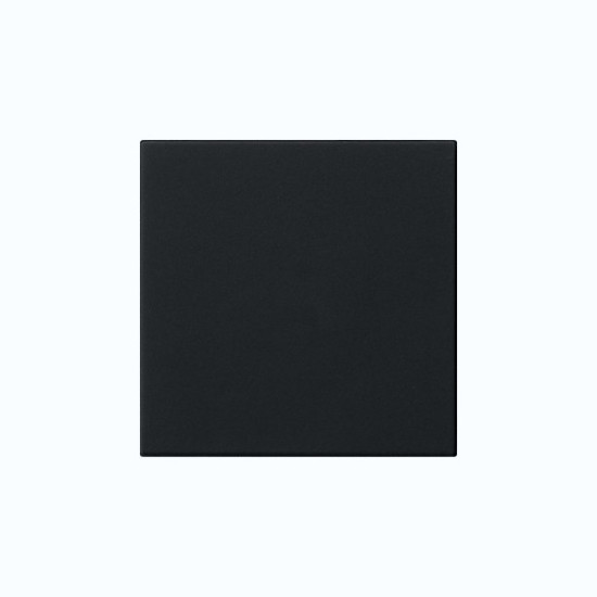 Gira 5372005 Wippe 1-fach unbedruckt System 55 Schwarz m
